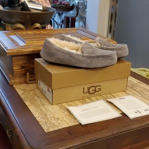 Brand new in the box Ansley Light grey UGG shoes